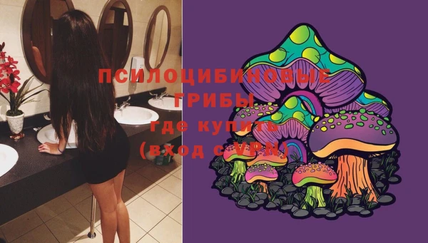 мдпв Видное